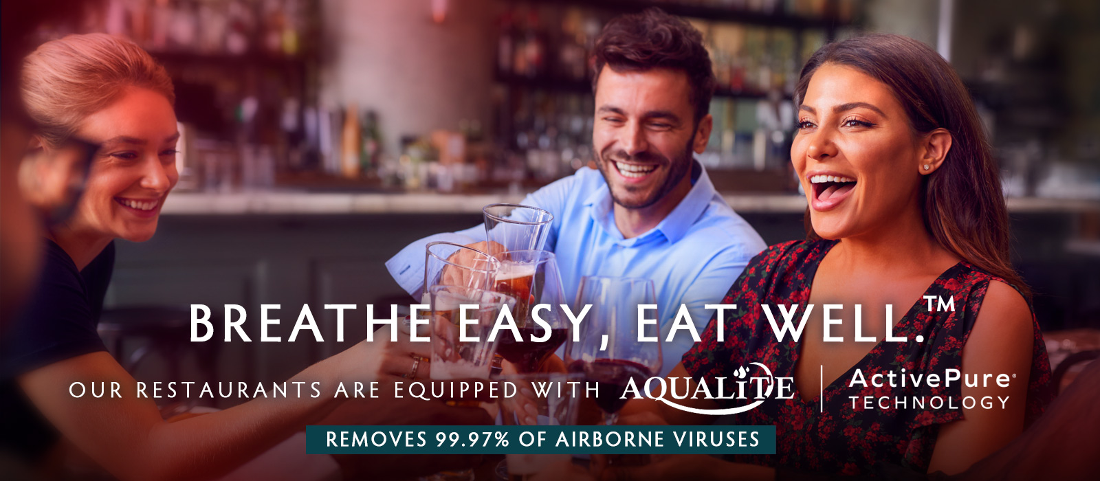 Air Purification System