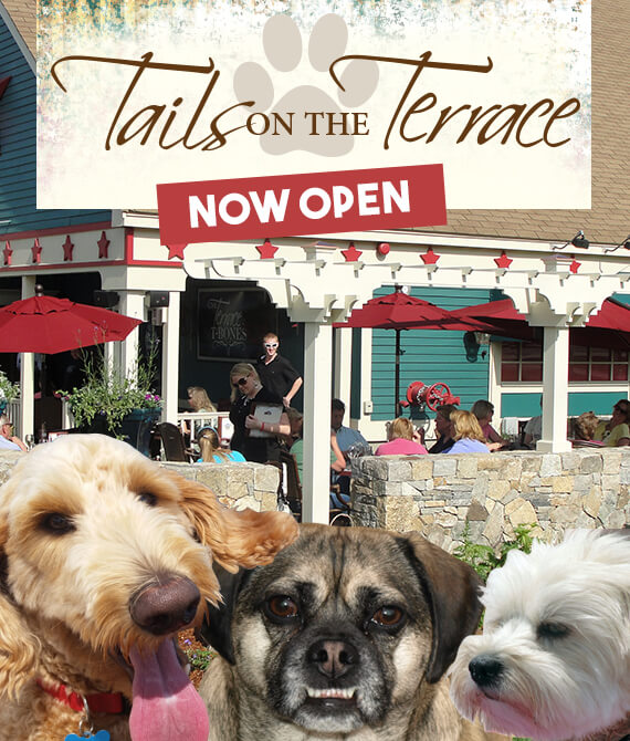 T bones great american eatery a great new hampshire restaurants